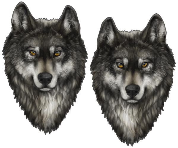 Gray wolf decal set 3"x1.9" lone wolves timber car vinyl sticker w1 u5ab