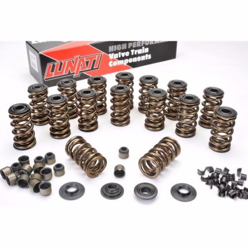 Buy Lunati 73925k1 LS1 LS2 LS6 Gold Dual Valve Spring Kit .660 lift
