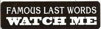 Motorcycle sticker for helmets or toolbox #621 famous last words watch me