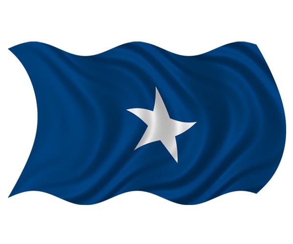 Bonnie blue waving flag decal 5"x3" rebel confederate vinyl car sticker zu1