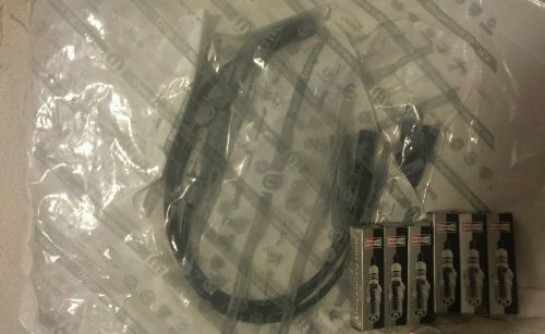 Mopar oem wire set 5019593aa w/ 6 champion re14plp5 double platinum spark plugs