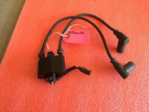 Polaris 2006 fusion 600 ignition coil 4060229 rmk switchback iq lx shift