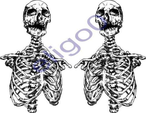 Skeleton stickers skull motorcycle gas tank car truck laptop tablet decal #05