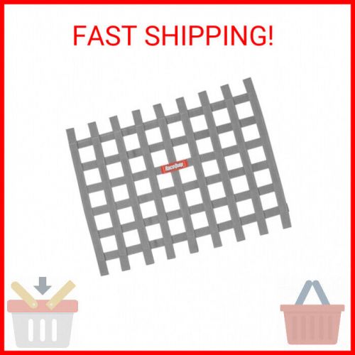 RaceQuip Race Car Window Net Ribbon Style Platinum 18H x 24W 721065, US $45.81, image 2