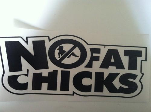 9x3 1/2" no fat chicks vinyl decal sticker funny tuner race jdm