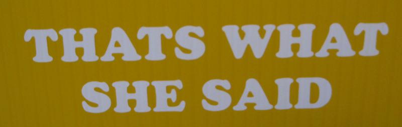 Thats what she said  vinyl sticker decal- honda subaru euro vw suv truck car 
