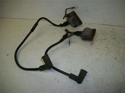 73 moto ski capri 295 bse coils &amp; wires zs