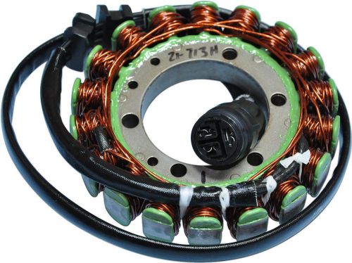Rick's electric stator 21-713h