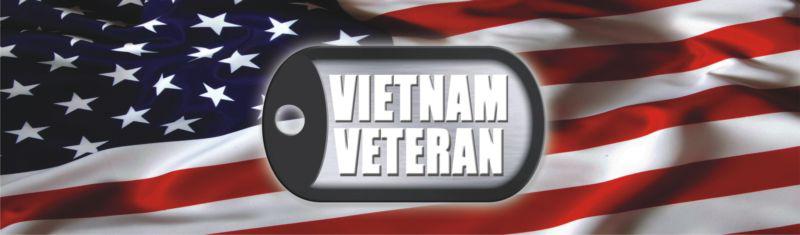 Rear window graphic - vietnam veteran