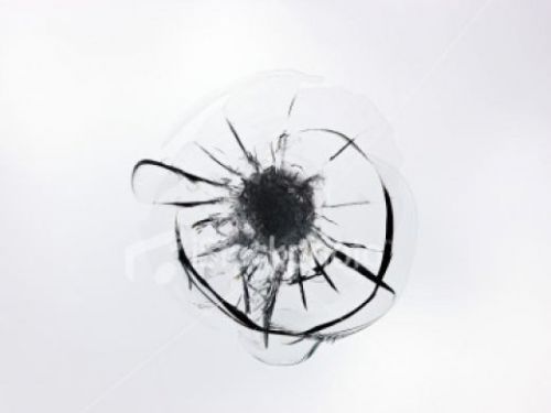 1oz. bottle windshield repair clear pure resin