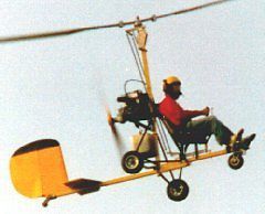 Gyrobee aircraft plans