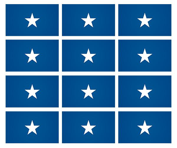 Bonnie blue flag decal 12 2"x1.2" confederate rebel hard hat helmet sticker zu1