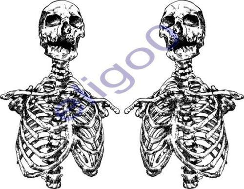 2x skeleton sticker motorcycle gas tank or car decal 5