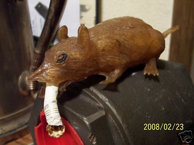 Bad rat  rat rod lowrider jay hd aircraft hemi tulsa