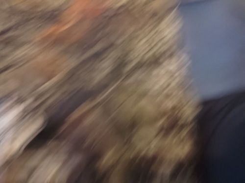 7028086 Carburetor 2 BBL Rochester Mercruiser/ Omc/Ect..., US $110.00, image 6