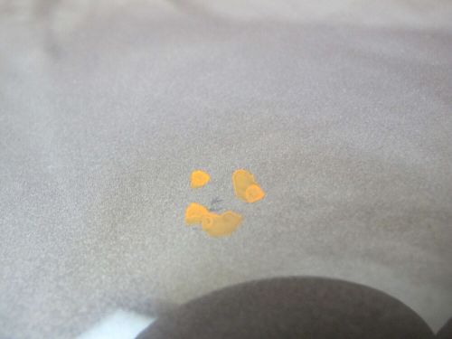 , US $368.94, image 15