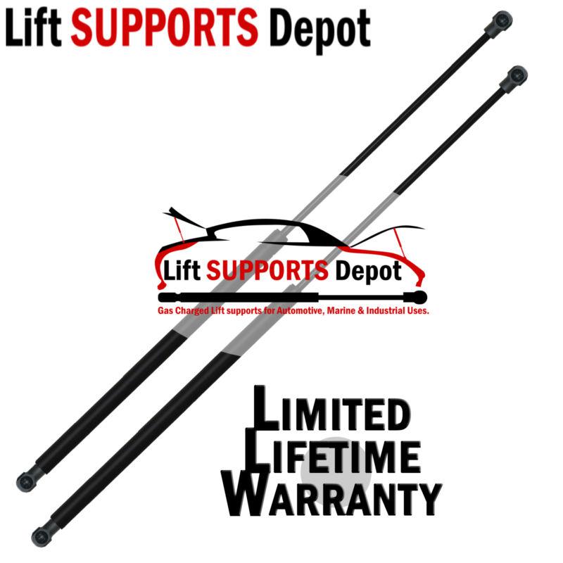 Qty (2) 10mm nylon (short) end lift supports 17" extended x 100lbs