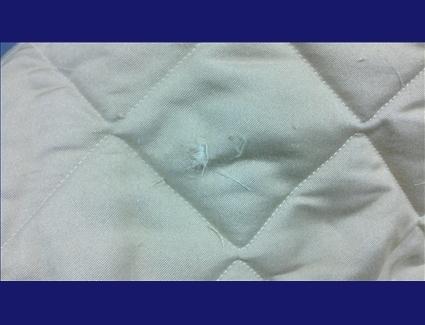 Sea ray mattress pad for 2007 310 da