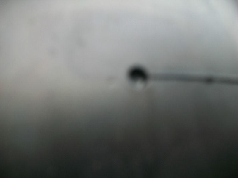 Burris tire , US $40.00, image 4