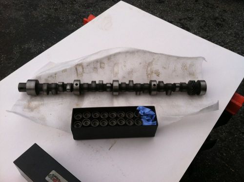 Lunati pontiac solid flat tappet cam and lifters