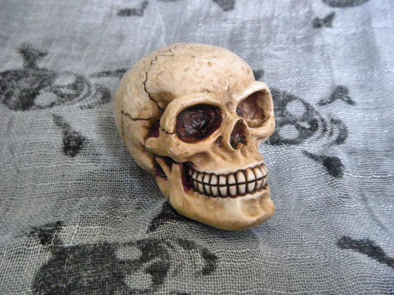 Human skull universal shift shifter knob handle bone custom grommet lever new