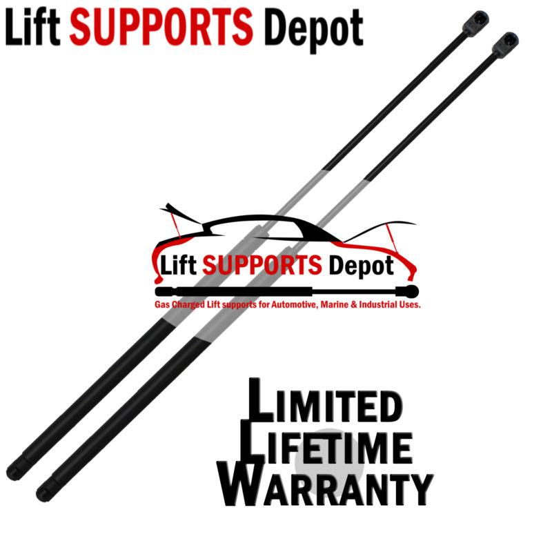 Qty (2) 10mm nylon end lift supports 17" extended x 40bs