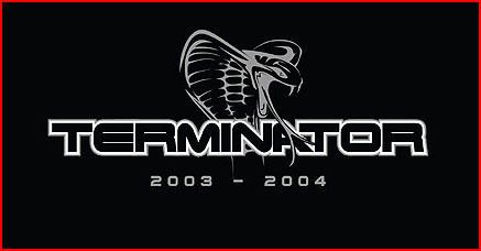Mustang decal terminator cobra svt 2003 2004 ford open or solid letter with year
