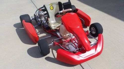 Alpha 125cc iame tag go kart cart on a racing shifter kart chassis - race ready!