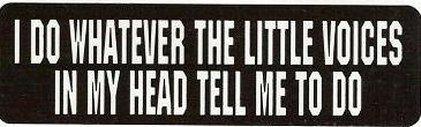Motorcycle sticker for helmets or toolbox #607 i do whatever the little voices