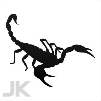 Decals sticker scorpion poison death scorpions attack pincer sting 0502 xx7ka