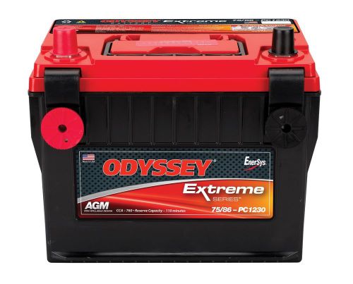 Odyssey battery 75/86-pc1230dt automotive battery