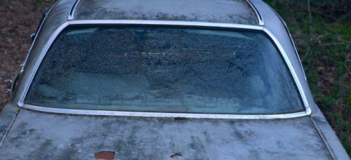 Mercedes coupe w114 115 250ce  d oem rear windshield
