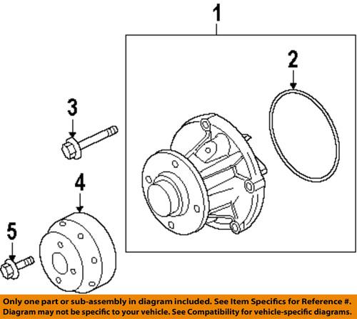 Ford oem w300006 water pump-water pump bolt