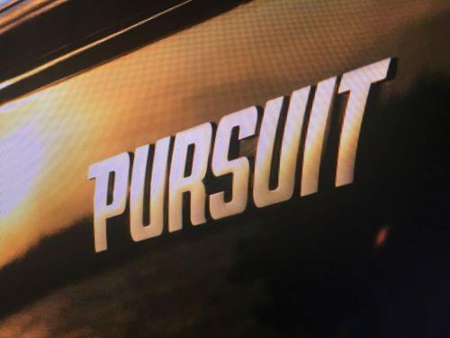 Pursuit boats silver metallic decal 12" stickers (pair)