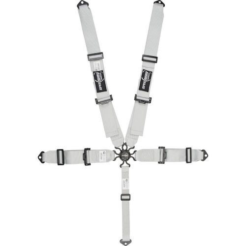 Speedway Elite, 5 Point Seat Belt Harness, Cam Lock, Silver, US $101.99, image 10