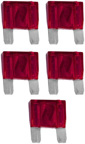 Xscorpion 50 amp fuses 5 per bag