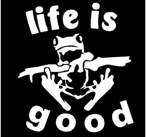 Decal life is good  5&#034; x 6&#034; frog sticker cute