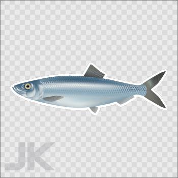 Decal stickers fish salt water herring 0500 x62xx