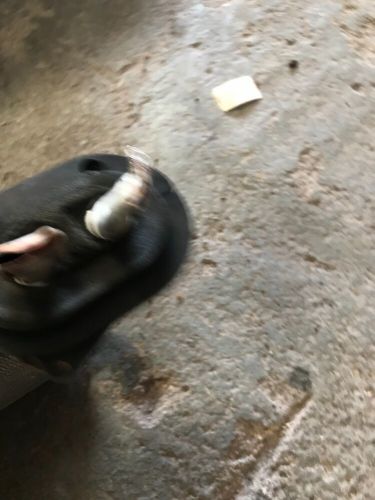 Mitsubishi lancer evo evolution 7 heater matrix unit spares, US $, image 9