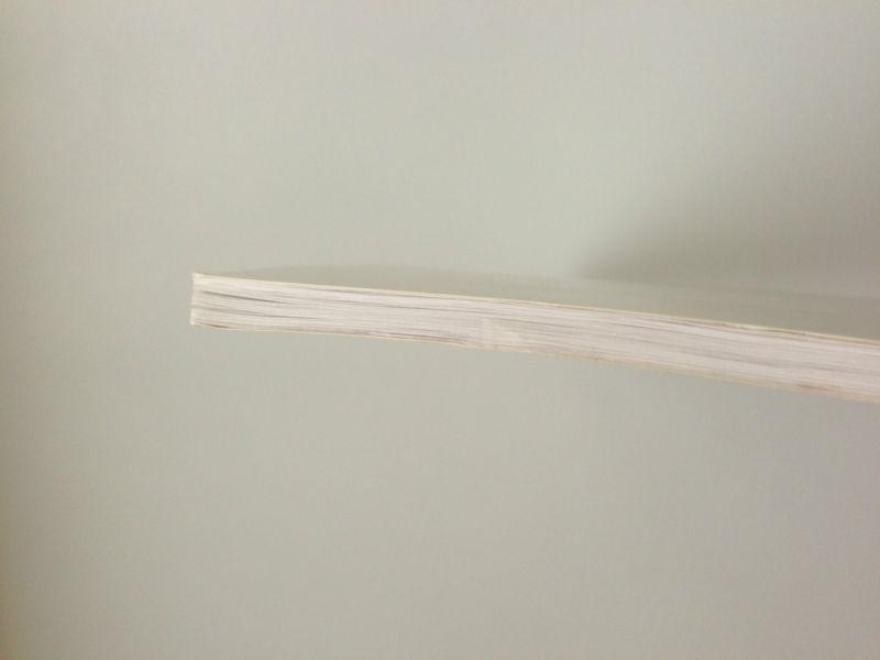 Sell CESSNA Pilot Safety and Warning Supplements Book in Lewiston