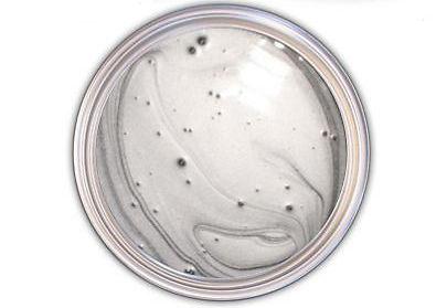 Silver metallic urethane basecoat clear coat kit featuring 5 star clear coat