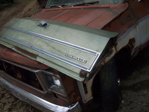 Chevelle station wagon tailgate 64 65 66 67 malibu lemans f85 vista surf beach