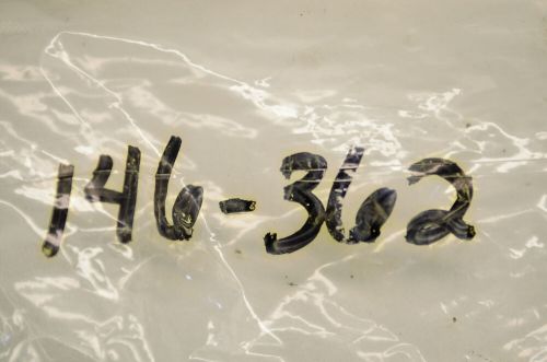 OEM Arctic Cat 0146-362 Clutch Ramp Qty 3 NOS, US $59.49, image 2