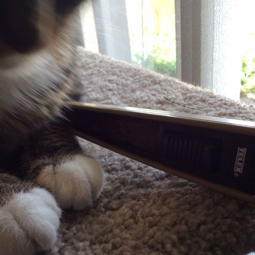 Telex hand held microphone (2672)