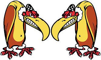 Vintage decal vulture rare old hot rod gasser power rare