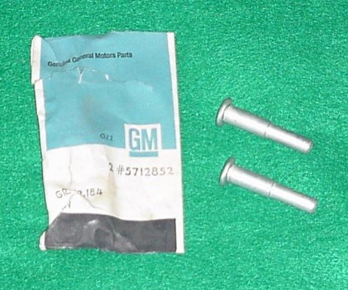 Nos 64 65 66 67 buick oldsmobile chevrolet station wagon tailgate hinge pins
