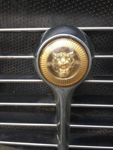 1973 jaguar grill