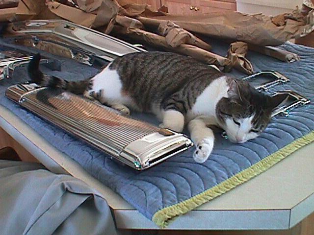 ~ RARE! ~ 65 1965 OLDS STARFIRE TAIL LIGHT ORNAMENT NOS! LEFT SIDE! ~ RARE! ~, US $95.00, image 7