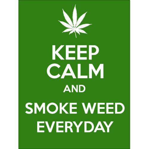 Keep calm and smoke weed everyday kcco car bumper sticker decal 5" x 3"