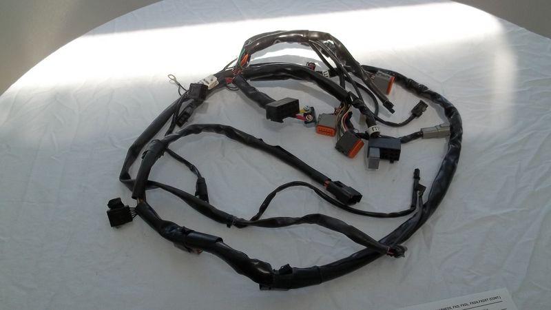 2001 harley davidson dyna fxdl,fxd,fxdx,fxdxt main wiring harness 69558-01